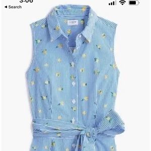 J Crew Blue Stripe Lemon Shirt Dress sz 6